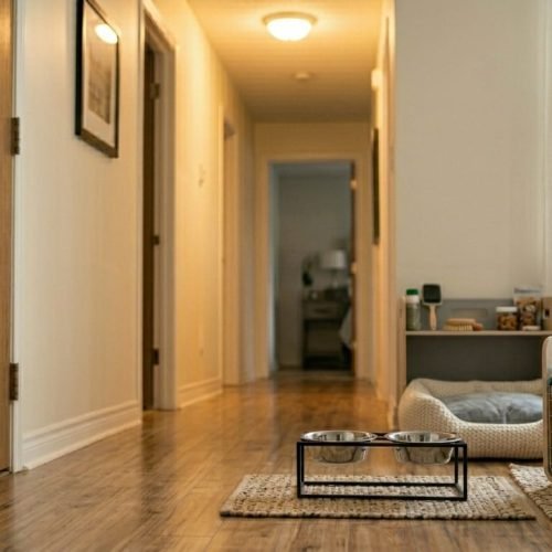 Produtos Essenciais para Cachorro em Apartamento: Tudo que Você Precisa para Montar o Lar Ideal do seu Pet